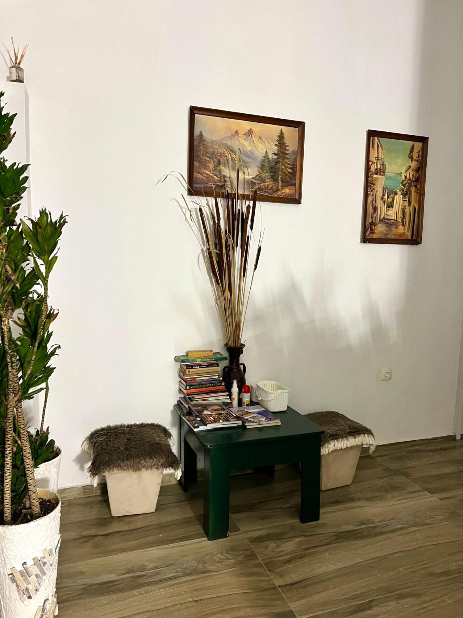 Dado Apartment Virpazar Luaran gambar